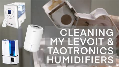 Levoit humidifier cleaning instructions